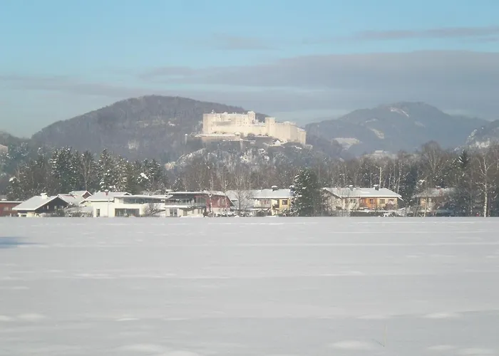 볼바인 게스트하우스 잘츠부르크